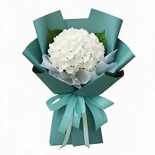 Букет цветов из:  Гортензия в Глажево